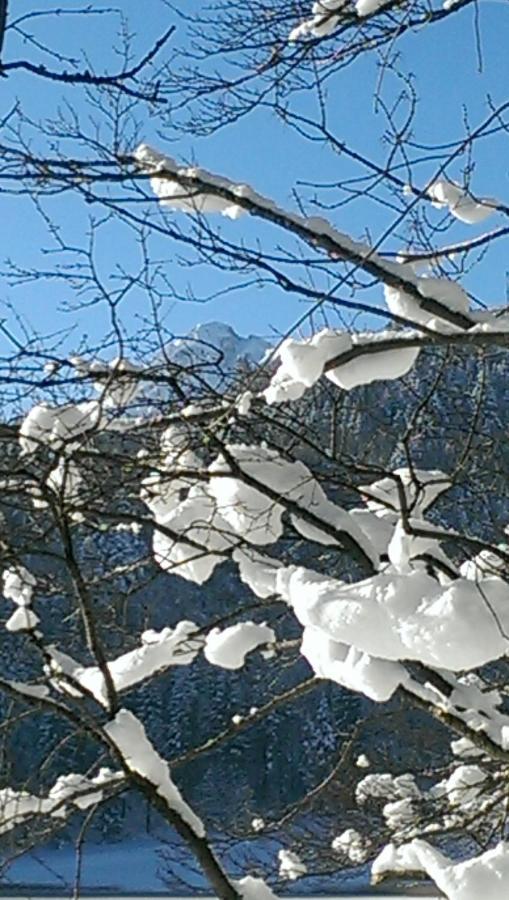 Fw Weissensee 44 Fussen Ngoại thất bức ảnh