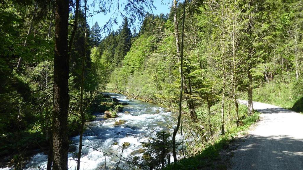 Fw Weissensee 44 Fussen Ngoại thất bức ảnh