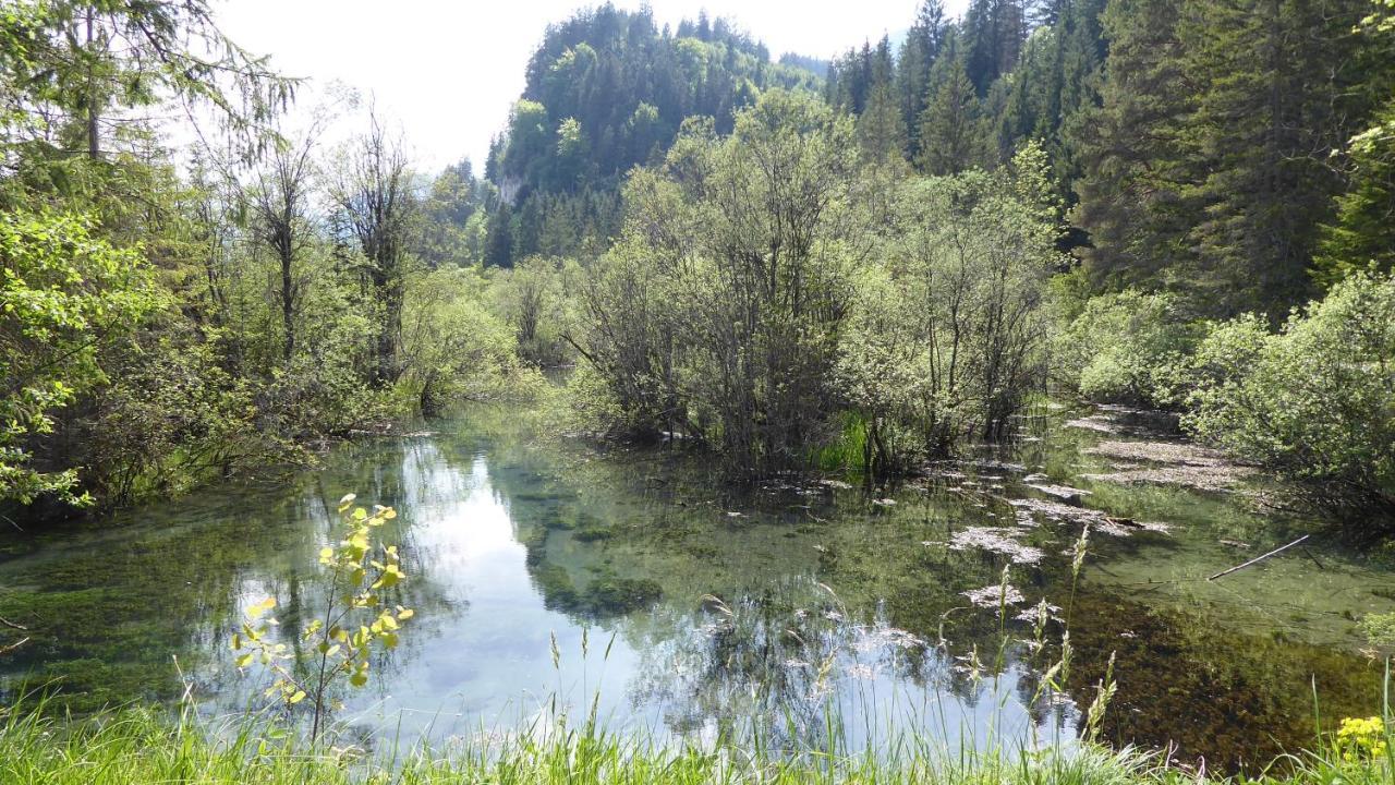 Fw Weissensee 44 Fussen Ngoại thất bức ảnh
