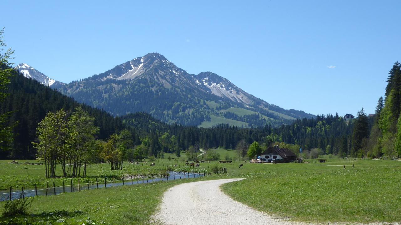 Fw Weissensee 44 Fussen Ngoại thất bức ảnh