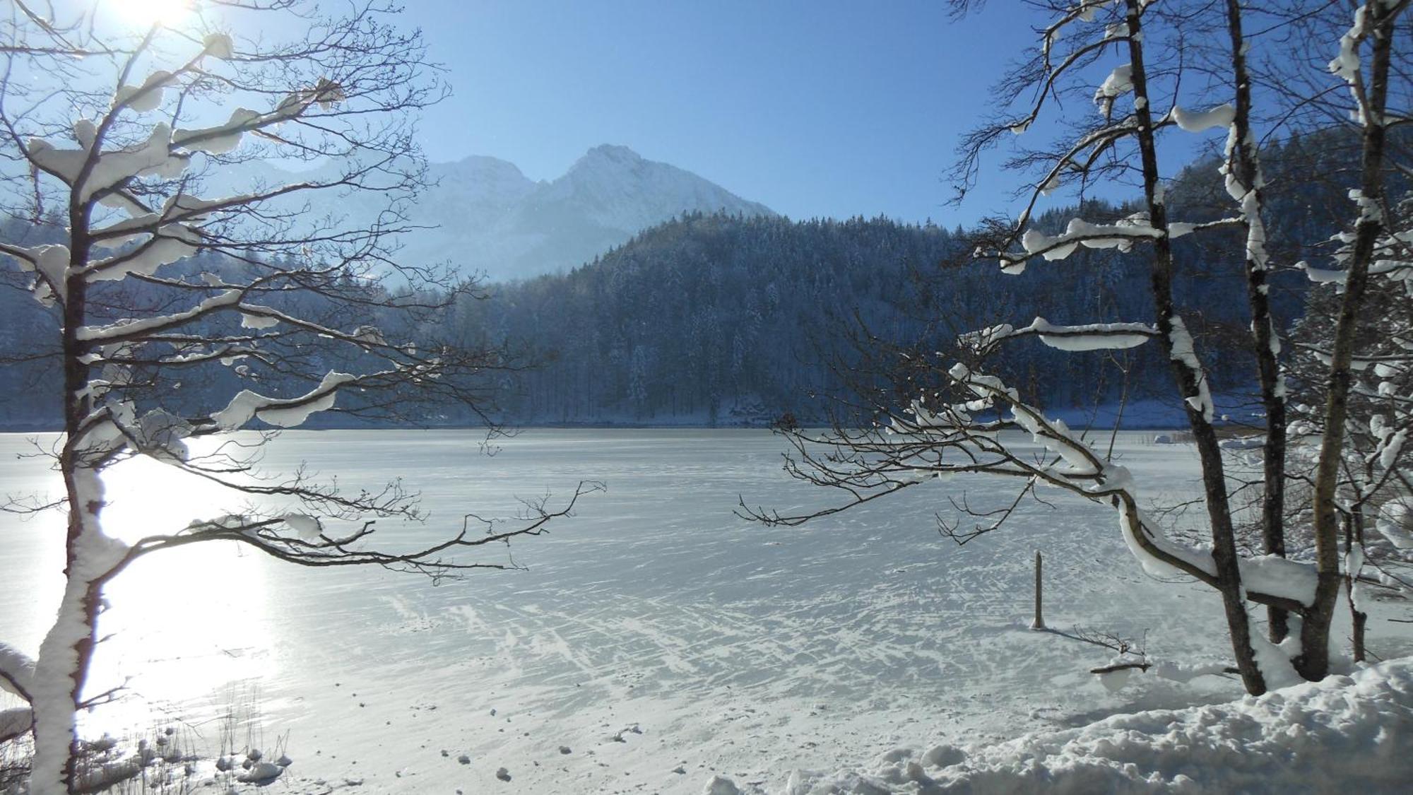 Fw Weissensee 44 Fussen Ngoại thất bức ảnh